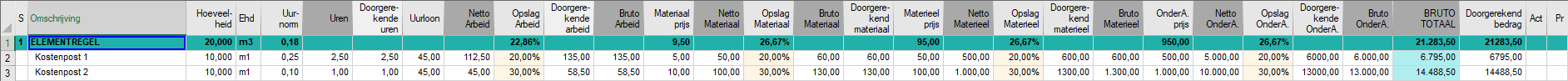 Opties - Begroting weergave - Totalen2 - voorbeeld