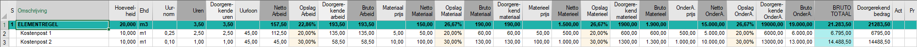 Opties - Begroting weergave - Totalen1 - voorbeeld